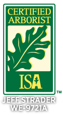Certified Arborist